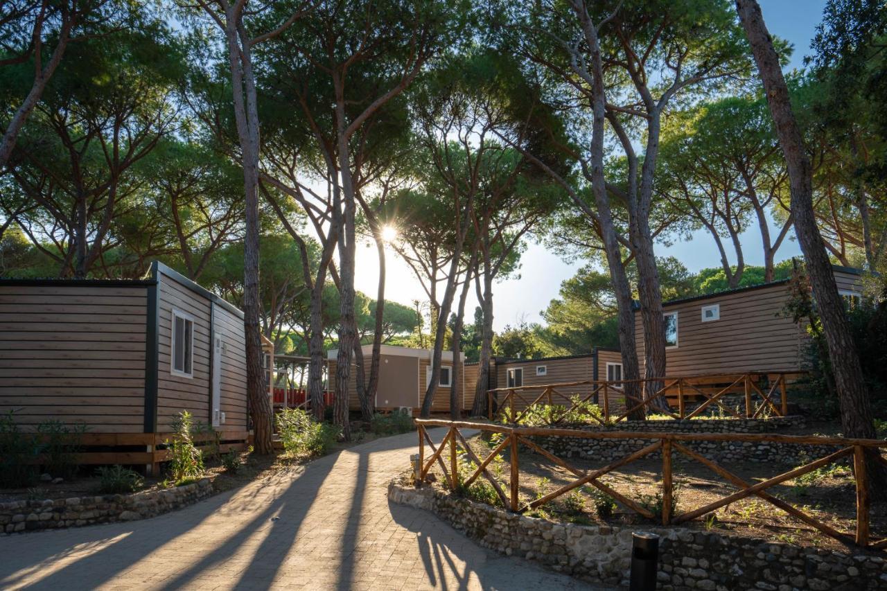 Camping Il Capannino Glamping Village Marina Di Bibbona Bagian luar foto